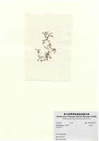 藏品(巢沙菜)的圖片